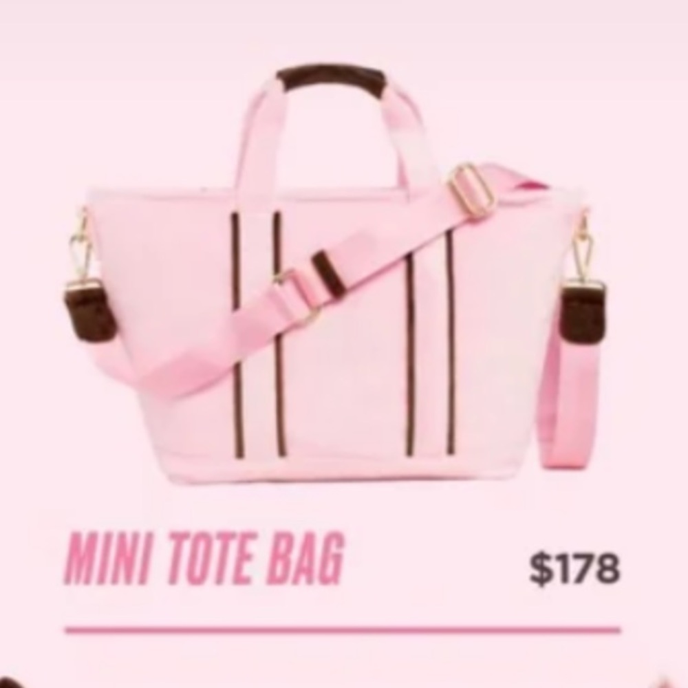 Juicy Couture x Stoney Clover Lane Velvet Mini Tote